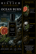 Ocean Burn: Inspired By Jo Malone Wood Sage & Sea Salt